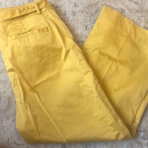 Loft flare Capri pants with belt - Picture 2 of 5